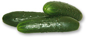 Cucumber