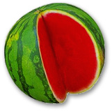 Water Melon