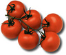 Tomates